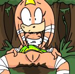  2008 anus blush female mud perverted_bunny pussy solo sonic_(series) sweat tikal_the_echidna 