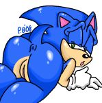  2008 anus crossgender female green_eyes looking_at_viewer looking_back perverted_bunny pussy solo sonic_(series) sonic_the_hedgehog 