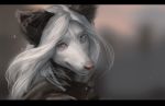  2019 anthro black_bars canid canine digital_media_(artwork) hair heterochromia mammal shwonky white_hair 