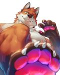  2019 anthro biceps canid canine claws feet fox fur hi_res jacketbear male mammal muscular muscular_male nipples pawpads pecs simple_background toe_claws toes white_background 