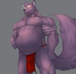  belly biceps bulge canid canine canis captainjohkid clothing fundoshi fur japanese_clothing male male_pregnancy mammal muscular pecs pregnant purple_fur red_eyes solo tattoo underwear wolf 
