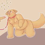  1:1 all_fours anthro balls bfkitsu1550 blush canid canine canis collar domestic_dog erection flaccid foreskin hi_res humanoid_penis leash male male/male mammal moobs navel obese overweight penis simple_background uncut 