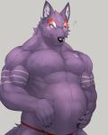  belly biceps blush canid canine canis captainjohkid clothing fundoshi fur hi_res japanese_clothing male male_pregnancy mammal muscular pecs pregnant purple_fur red_eyes solo tattoo underwear wolf 