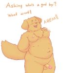  1:1 anthro balls bfkitsu1550 blush canid canine canis domestic_dog erection hi_res humanoid_penis male mammal moobs navel open_mouth penis simple_background solo standing text 