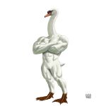  1:1 abs anatid anseriform anserinae avian beak biceps bird black_eyes feathers featureless_crotch front_view goose male muscular muscular_male pecs quads simple_background standing taku three-quarter_view white_background white_feathers 