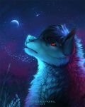  2018 blue_fur blue_nose canid canine canis detailed_background digital_media_(artwork) feral fur hi_res mammal moon night outside red_eyes sky solo star starry_sky wolf yasmil 