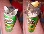  1girl :3 animal_ears blue_eyes brown_hair cat cat_ears chips commentary denchisoft fish_hair_ornament food food_on_head hair_ornament highres object_on_head original personification photo-referenced potato_chips pringles real_life_insert sad short_hair stuck tears 