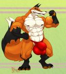  2019 4_toes 5_fingers abs anthro balls biceps big_balls big_muscles black_skin bulge canid canine clothing digitigrade dipstick_tail eyebrows fist flexing fox gloves_(marking) hi_res hungothenomster kuufuku male mammal markings multicolored_skin multicolored_tail muscular muscular_thighs nipples orange_skin pawpads pecs penis saliva sharp_teeth socks_(marking) solo standing teeth tight_underwear toes two_tone_skin underwear white_skin yellow_eyes 