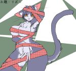  absurd_res amber_eyes anthro breasts chest_tuft cleavage clothed clothing cocked_hip covering covering_self crotch_tuft domestic_cat ear_tuft felid feline felis female fur grey_fur hi_res ketsuneko looking_at_viewer mammal multicolored_fur nipple_outline portrait raised_arm slit_pupils solo three-quarter_portrait tuft two_tone_fur whiskers wrapped 