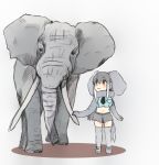  2019 absolute_territory african_bush_elephant african_bush_elephant_(kemono_friends) african_elephant ambiguous_gender animal_humanoid beady_eyes big_ears biped black_eyes blue_clothing blue_topwear blush bottomwear breasts brown_eyes clothed clothing crop_top duo elephant elephant_humanoid elephantid eyebrows female feral floppy_ears footwear front_view full-length_portrait fully_clothed grey_bottomwear grey_clothing grey_ears grey_footwear grey_hair grey_legwear grey_shoes grey_shorts grey_skin grey_socks grey_tail grey_theme hair hair_highlights hatching_(art) humanoid iceeye_ena invalid_tag japanese kemono_friends larger_ambiguous larger_feral legwear light_skin looking_at_another looking_up mammal midriff multicolored_hair necktie portrait proboscidean proboscidean_humanoid quadruped scarf shadow shirt shoes shorts simple_background size_difference smaller_female smaller_humanoid smile socks standing tail_tuft tan_skin thigh_highs thigh_socks topwear trunk tuft tusks two_tone_hair white_background white_hair white_highlights 