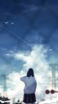  1girl amenomori_howa bird black_hair blurry cardigan cloud condensation_trail cowboy_shot depth_of_field from_behind hand_up highres long_hair original outdoors pleated_skirt power_lines scenery school_uniform skirt sky solo star_(sky) traffic_light 