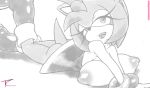  &lt;3 &lt;3_eyes amy_rose anthro big_breasts big_ears breasts clothed clothing eulipotyphlan female hedgehog hi_res looking_at_viewer mammal nipples no_underwear signature smile solo sonic_(series) tc 