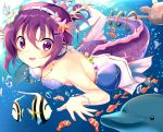  dolphin fish gochuumon_wa_usagi_desu_ka? jewelry mermaid monster_girl monsterification necklace purple_eyes purple_hair shell shell_bikini shell_hair_ornament tail tedeza_rize underwater 