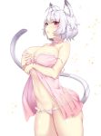  animal_ears breast_hold ikomochi lingerie nekomimi no_bra pantsu see_through tail 