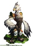  anthro avian bird breath_of_the_wild clothed clothing hi_res macro male nintendo rito solo teba_(tloz) the_legend_of_zelda video_games wolfmalro 