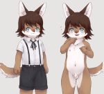 anthro balls black_clothing blue_eyes blush brown_fur brown_hair canid canine chest_tuft clothed clothing cub erumeruta flaccid fully_clothed fur hair inner_ear_fluff male mammal neck_tuft nipples nude open_mouth penis simple_background solo tuft white_clothing white_fur young 