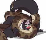  2019 all_fours anthro coiling duo haps hi_res hypnosis jerry_(haps) jungle_book kaa_(jungle_book) male mammal mephitid mind_control nude reptile ringed_eyes scalie simple_background skunk smile snake submissive_male white_background 