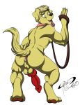  2019 absurd_res animal_genitalia animal_penis anthro anus atlas big_penis bird_dog butt canid canine canine_penis canis collar domestic_dog drakerogers hi_res hunting_dog knot labrador leash looking_at_viewer male mammal nude open_mouth penis pinup pose presenting presenting_anus retriever simple_background solo standing tailwag tongue yellow_lab 