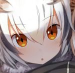  :o black_jacket blush eyebrows_visible_through_hair fur greatmosu grey_hair head_wings jacket kemono_friends northern_white-faced_owl_(kemono_friends) orange_eyes third-party_source white_hair 