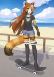  ailurid anthro beach bottomwear clothing cloud cristalavi hi_res mammal red_panda seaside shirt shorts skateboard sky solo topwear 