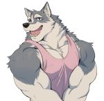  2019 adios anthro biceps canid canine canis clothed clothing digital_media_(artwork) fur hi_res male mammal muscular muscular_male pecs simple_background solo white_background 