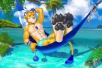  abs anthro clothed clothing felid hammock jewelry lion looking_at_viewer male mammal muscular muscular_male necklace outside pantherine smile solo topless vallhund 