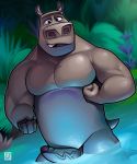  2019 absurd_res anthro biceps common_hippopotamus dreamworks erection eyebrows hi_res hippopotamid humanoid_penis looking_at_viewer madagascar_(series) male mammal moto_moto muscular muscular_male nude pecs penis pinup pose solo tehbluebubble uncut unibrow 