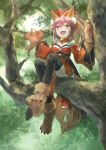  1girl animal_ear_fluff animal_ears bell bell_collar black_legwear breasts cat_paws cleavage collar commentary commentary_request eyebrows_visible_through_hair fangs fate/grand_order fate_(series) forest fox_ears fox_girl fox_tail gloves hair_ribbon highres jingle_bell long_hair looking_at_viewer nature open_mouth outdoors paw_gloves paw_shoes paws pink_hair ponytail red_ribbon ribbon shishima shoes solo tail tamamo_(fate)_(all) tamamo_cat_(fate) tree tree_branch yellow_eyes 
