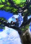  androgynous bad_id bad_pixiv_id bird black_hair blue_eyes book boots cloud dappled_sunlight day hat highres in_tree kyouichi original shade shorts sitting sitting_in_tree sky solo sunlight tree 