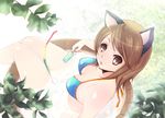  animal_ears bikini brown_eyes brown_hair cat_ears food leaf looking_up original popsicle shinogi_k short_hair solo swimsuit tub 