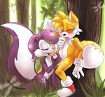  crossover fifi_le_fume sonic_team syberfox tails tiny_toon_adventures 