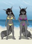  anthro beach bikini black_hair black_nose clothed clothing duo female fur grey_fur hair hi_res mammal navel procyonid raccoon sailoranna seaside square_crossover swimwear tracy_(sailoranna) 