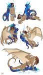  2019 anthro balls blue_hair blush bracelet breast_grab breasts brown_hair butt butt_grab cum digitigrade dragon duo entwined_tails eyes_closed female feral gibbons hair hand_on_breast hand_on_butt hi_res horn human human_to_feral jewelry larger_male magic male male/female mammal membrane_(anatomy) membranous_wings nipples open_mouth penetration penis sequence simple_background size_difference smaller_female smile species_transformation transformation white_background wings 
