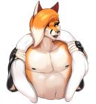  anthro arm_warmers armwear canid canine clothed clothing fox girly looking_at_viewer makeup male mammal nipples quote_(quotefox) quotefox rubber smile solo 