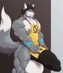  anthro apron balls big_balls canid canine canis clothing croiyan half-erect hi_res huge_balls humanoid_penis hyper hyper_balls hyper_penis male mammal muscular muscular_male pecs penis smile solo standing vein wolf 