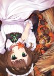  animal_ears maid omelet_tomato tagme tail 