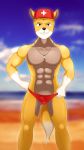  anthro balls beache blake buffbumblebee bulge canid canine clothed clothing cocky hi_res lifeguard male mammal muscular musculer penis small_balls small_penis speedo swimwear 