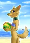  anthro ball bandeau beach blue_clothing blue_eyes blue_sky bottomless butt canid canine canis cheek_tuft clothed clothing cloud collar day female fur head_tuft inner_ear_fluff mammal misterpickleman multicolored_fur portrait sea seaside side_view sky smile solo tan_fur taylor_knight three-quarter_portrait tuft two_tone_fur water wolf young_adult 