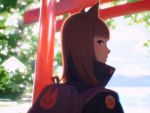  1girl animal_ears backpack bag bangs black_eyes blurry blurry_background brown_hair day fox_ears from_behind high_collar highres ilya_kuvshinov long_hair looking_at_viewer looking_back original outdoors smile solo torii upper_body whisker_markings 