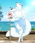  2019 big_breasts bikini blue_eyes breasts canid canine canis cherrikissu cleavage_overflow clothing detailed_background dipstick_tail domestic_dog female fluffy fur huge_breasts looking_at_viewer mammal multicolored_tail neck_tuft pawpads sign signature smile solo swimwear tight_clothing tree tuft water white_fur 