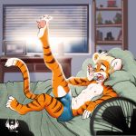  4_toes anthro bed bedroom black_stripes blue_clothing blue_underwear clothing cub day eldiman eyes_closed felid fur inside lying male mammal on_back on_bed open_mouth orange_fur pantherine pawpads pink_pawpads solo stripes sun tiger toes underwear white_fur window yawn young 