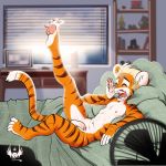  4_toes anthro balls bed bedroom black_stripes cub day eldiman erection eyes_closed felid fur glans inside lying male mammal nude on_back on_bed open_mouth orange_fur pantherine partially_retracted_foreskin pawpads penis pink_glans pink_pawpads precum solo stripes sun tiger toes uncut white_balls white_fur white_penis window yawn young 