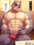  2019 666yubazi abs anthro biceps bugle canid canine canis clothing fur hi_res kemono male mammal muscular muscular_male pecs simple_background solo text translation_request 