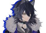  1boy animal_ears arknights black_coat black_hair black_necktie closed_mouth coat collared_shirt dog_ears earclip expressionless fur-trimmed_coat fur_trim grey_jacket highres jacket looking_ahead male_focus medium_hair necktie ojsn_00 portrait shirt simple_background solo vigil_(arknights) white_background yellow_eyes 