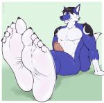 2023 5_toes anthro black_body black_claws black_fur black_hair black_nose blue_body blue_fur border cale_(alonelywolf44) canid canid_kaiba canine canis claws countershade_face countershade_fur countershade_neck countershade_torso countershading feet foot_focus fur genitals green_background hair hi_res humanoid_feet humanoid_genitalia humanoid_penis male mammal multicolored_body multicolored_fur muscular muscular_anthro muscular_male nude penis pink_penis plantigrade prick_ears shadow short_hair simple_background sitting sitting_on_ground smile smiling_at_viewer soles solo teeth_showing toe_curl toes white_body white_border white_ears white_feet white_fur wolf