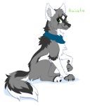 2018 black_body black_claws black_fur black_nose black_tail blue_handkerchief blue_kerchief canid canine canis claws female feral fluffy fluffy_tail fur grey_body grey_fur grey_tail haiate_(hioshiru) handkerchief hi_res hioshiru kerchief mammal solo tail text white_body white_ears white_fur white_tail wolf