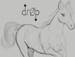 all_fours ambiguous_gender artist_name digital_drawing_(artwork) digital_media_(artwork) dr0p equid equine feral front_view galloping hi_res horse mammal monochrome muscular portrait practice realistic realistic_feral signature simple_background sketch solo three-quarter_portrait white_background