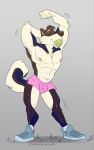 absurd_res anthro ball ball_in_mouth blue_body blue_fur bottomwear bulge canid canine canis clothed clothing colby_(husky) domestic_dog emufur eyes_closed footwear fur grey_body hi_res husky male mammal muscular muscular_anthro muscular_male navel nipples nordic_sled_dog pecs pink_bottomwear pink_clothing pink_shorts shoes shorts simple_background solo spitz tail tennis_ball tennis_ball_in_mouth white_body
