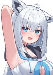  absurdres armpits deaver highres hololive shirakami_fubuki virtual_youtuber 