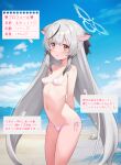  1girl absurdres alternate_costume animal_ears arms_behind_back bare_shoulders beach bikini black_hair blue_archive blue_sky blush breasts brown_eyes cloud commentary_request conch cowboy_shot day fubuki_rinne halo highres horizon kokona_(blue_archive) looking_at_viewer lowleg lowleg_bikini micro_bikini multicolored_hair navel ocean outdoors parted_lips pink_bikini shell side-tie_bikini_bottom sky small_breasts solo streaked_hair swimsuit tareme tiger_ears translation_request two-tone_hair water water_drop 